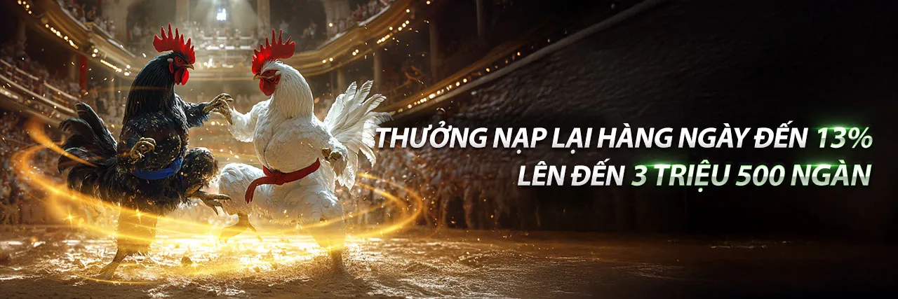 Sân vận động bóng đá với đèn pha sáng rực, biểu tượng cá cược thể thao Sabong677 Nhà Cái